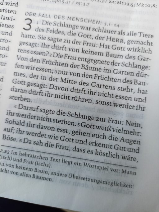 Text aus der Bibel, Gen 3,1-24