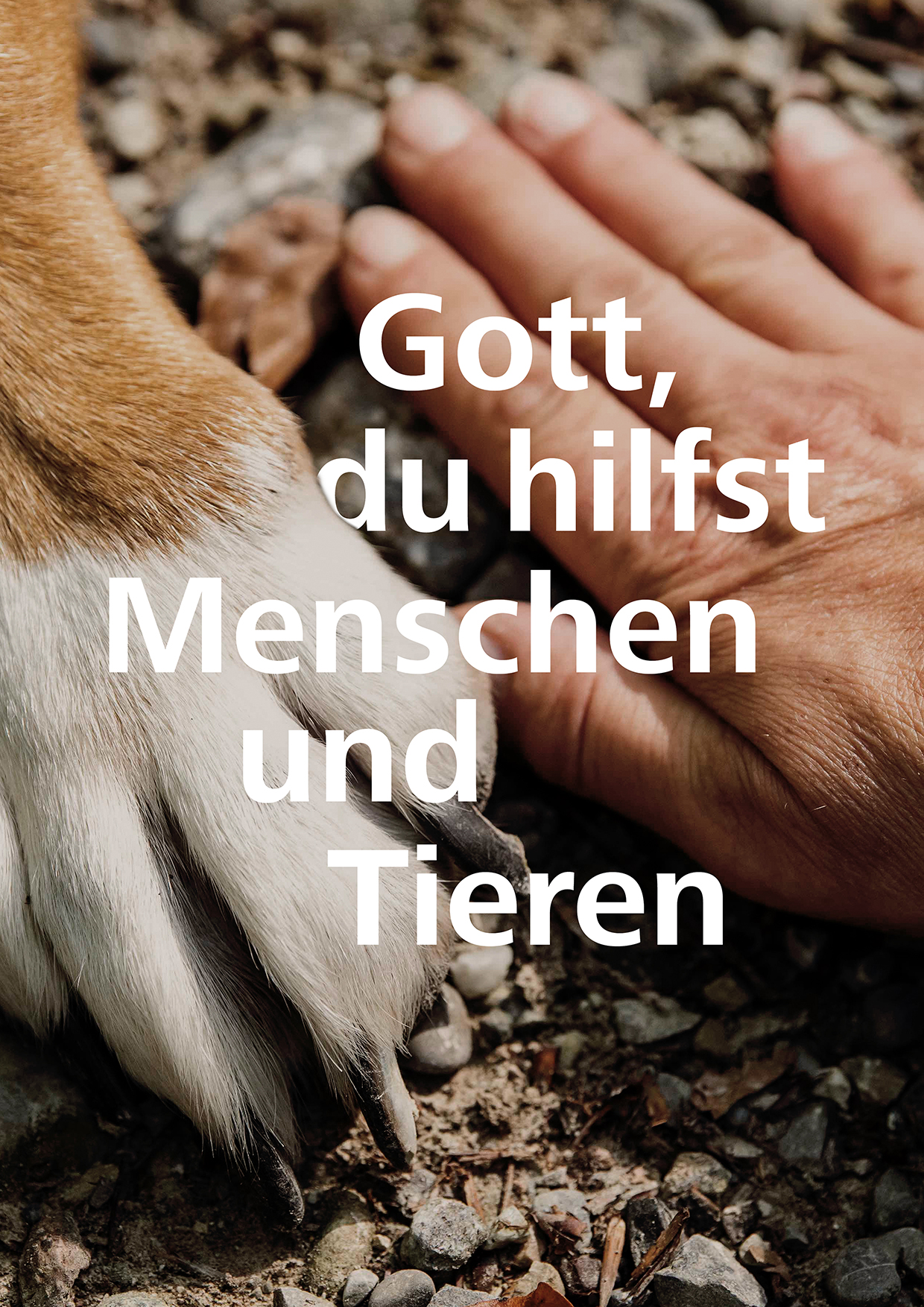 Menschenhand und Hundepfoten