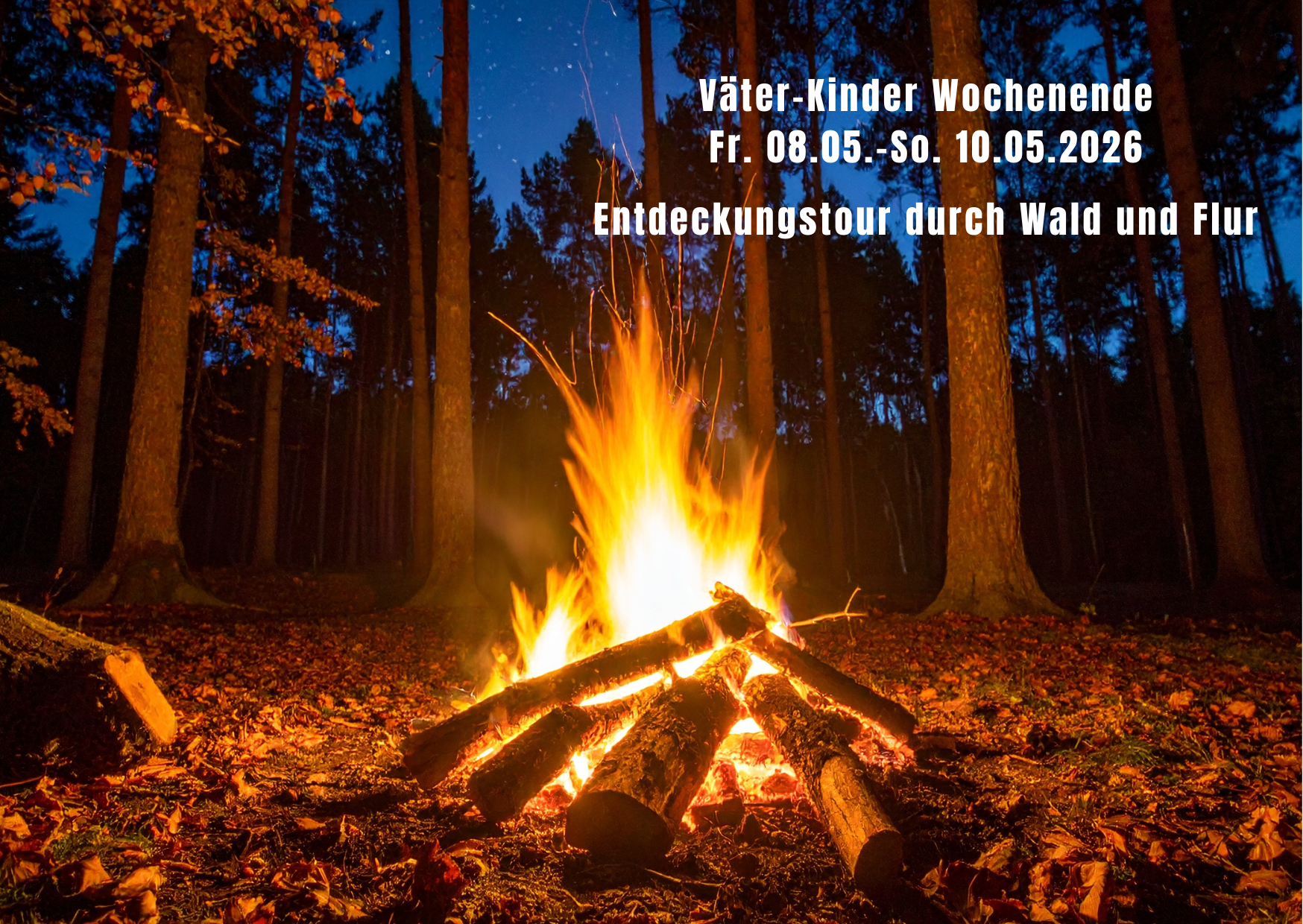 Lagerfeuer im Wald