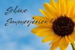Schöne Sommerferien