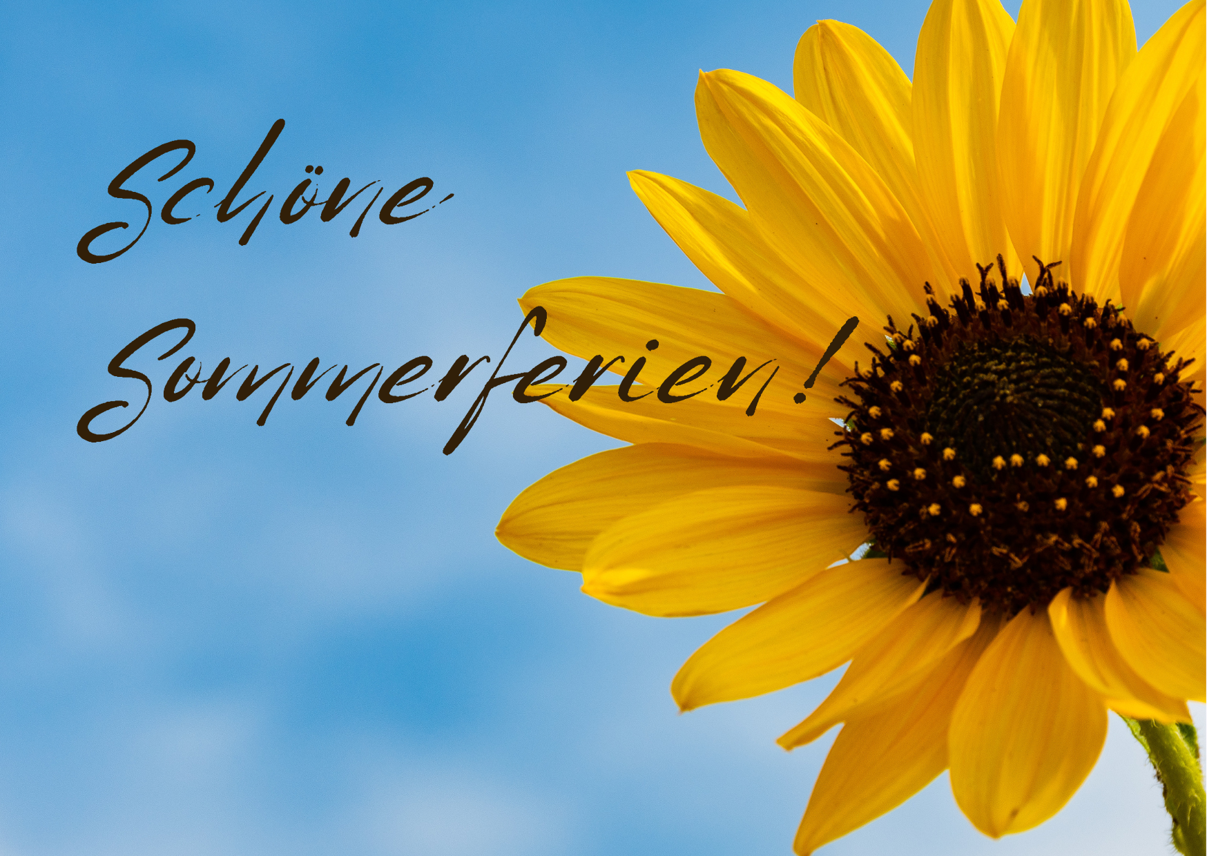 Schöne Sommerferien
